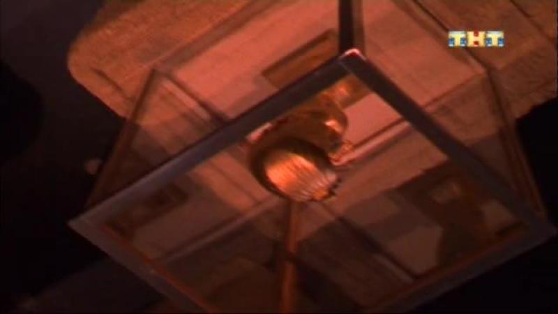 Кадры из сериала Полицейская академия (1997)