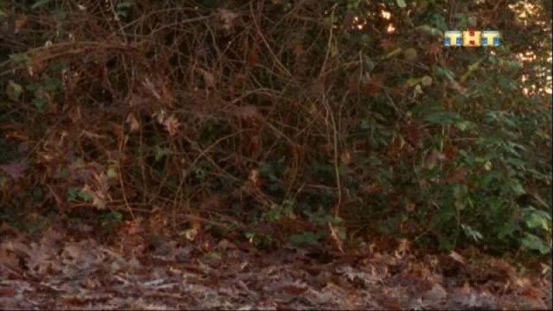 Кадры из сериала Полицейская академия (1997)
